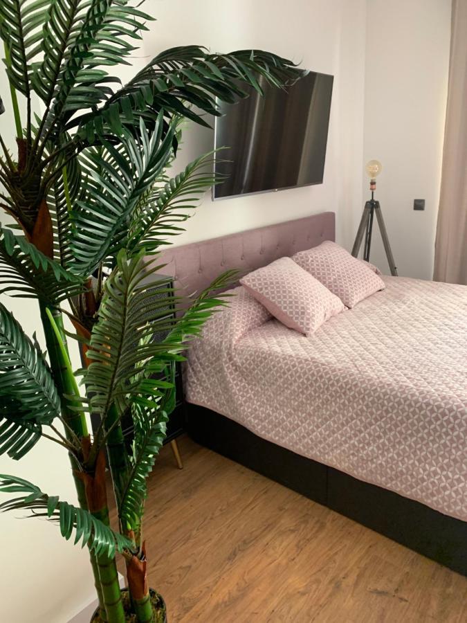 Loft De Lujo Con Piscina La Envia Appartement Vícar Buitenkant foto